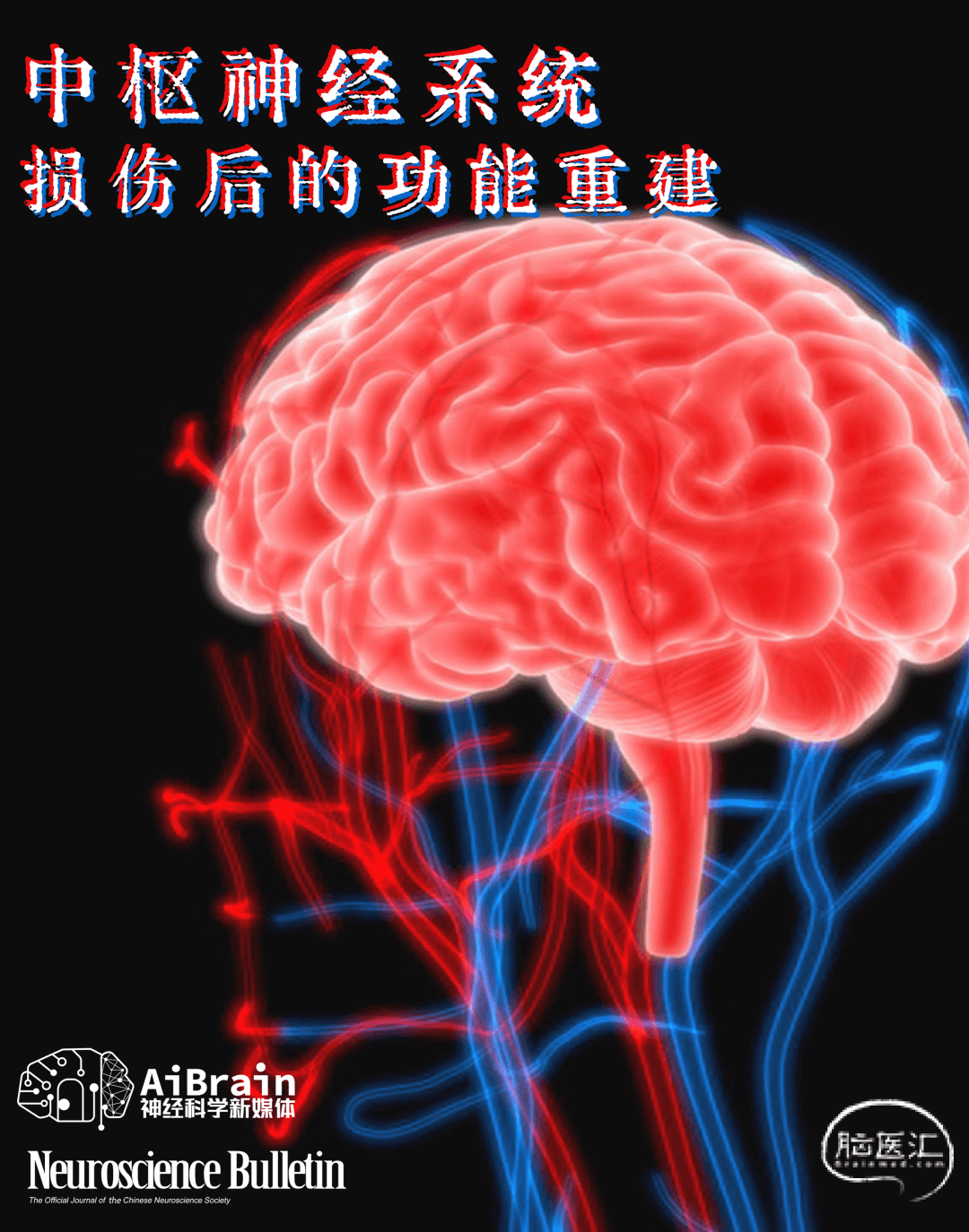 复旦大学徐文东教授：中枢神经系统损伤后的功能重建