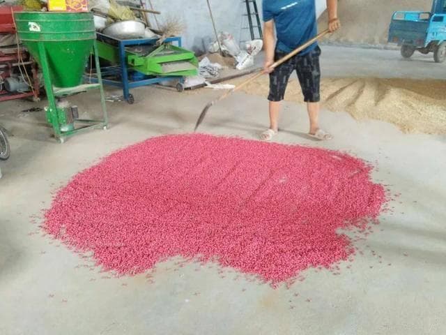 小麦拌种剂怎么选择会节省种子呢