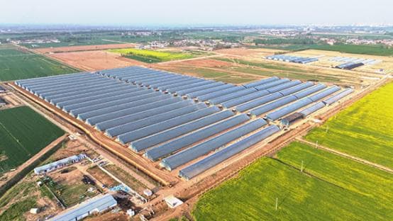 衡水冀州区：加速布局现代农业产业新版图 奏响乡村振兴新乐章