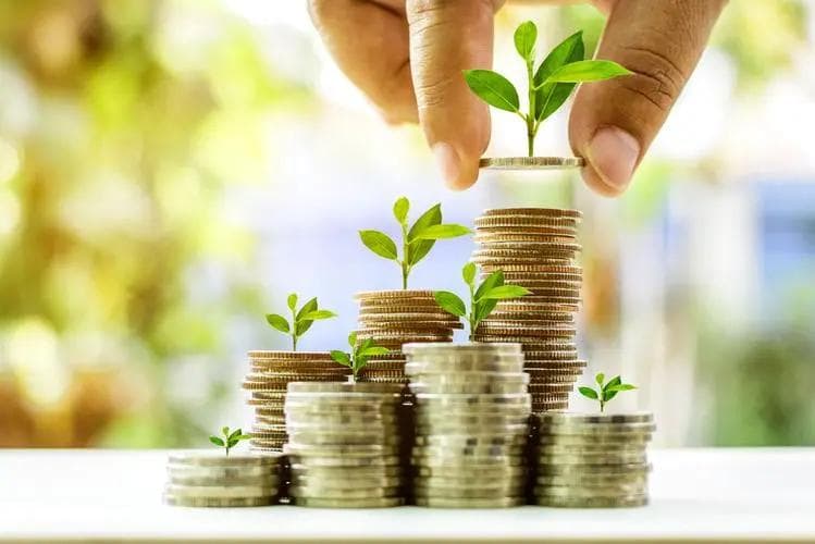 解读对冲基金与私募股权投资：两种投资方式的深度剖析