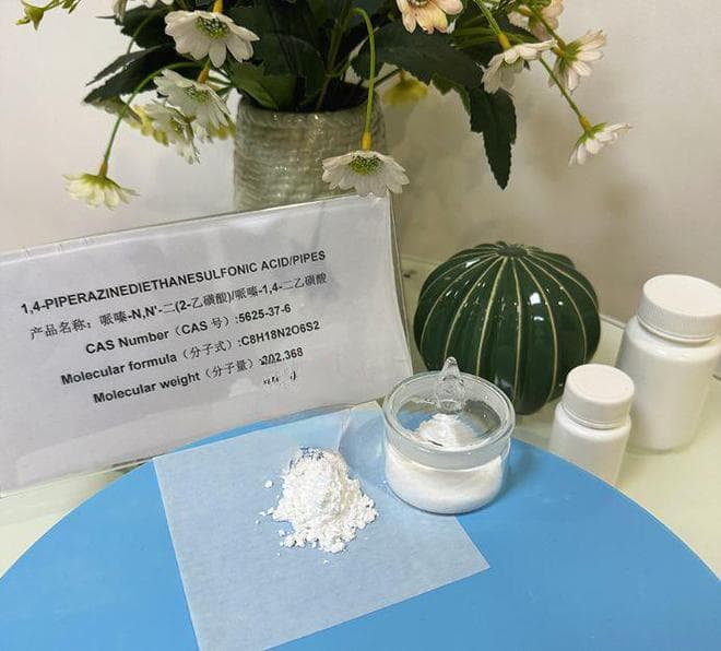 生物缓冲剂PIPES在阳离子交换色谱法中的应用与优化