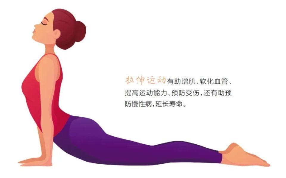 拉伸运动能延寿：“筋长一寸，寿延十年”有科学依据