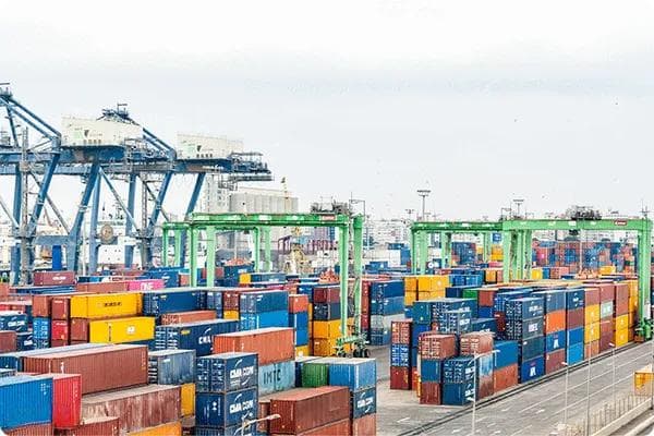 食品出口东南亚：通关秘籍与市场准入全攻略！