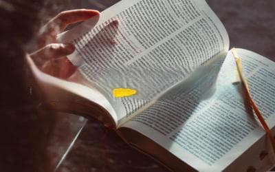 暗喻是什么？带你揭秘文学中的隐喻技巧
