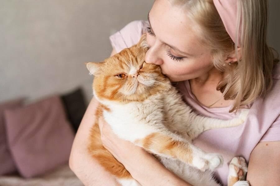 猫为何会突然扑咬主人？揭开背后的秘密！