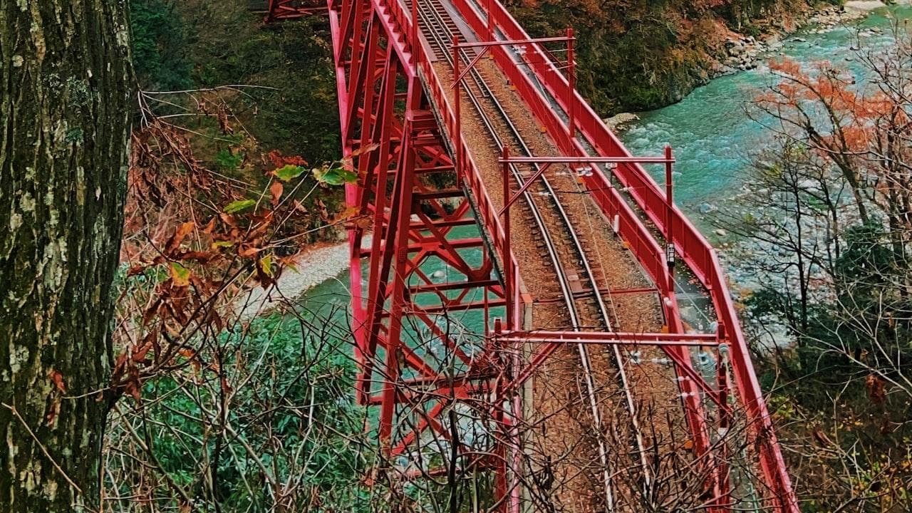 马来西亚旅游指南：多元文化与自然风光