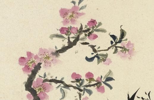 八字发财的含义及象征动物  解析财富命运与生肖关联