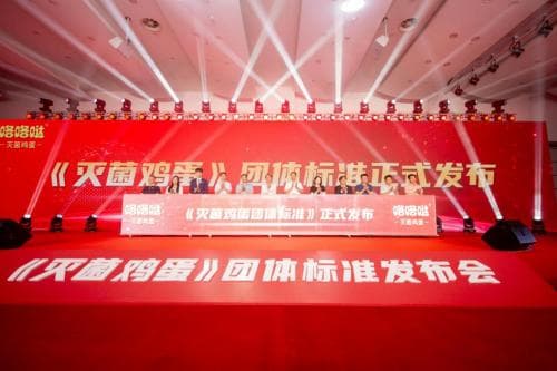 中国首个《灭菌鸡蛋》团体标准发布