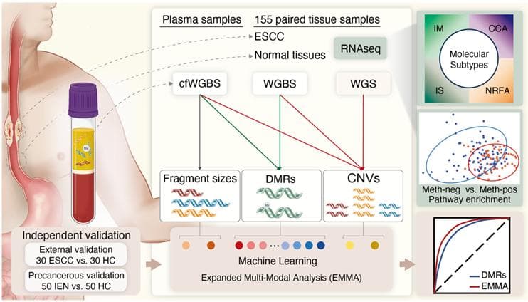 【Nature Comms】cfDNA多组学超早期识别食管鳞癌和癌前病变