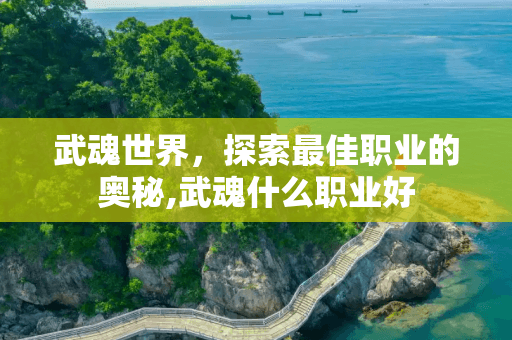 武魂世界，探索最佳职业的奥秘