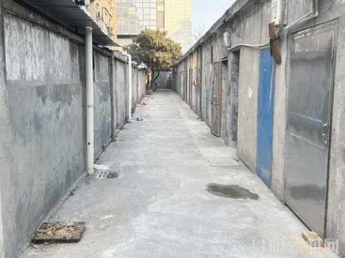 小区停车费、卫生费由个人来收，合理吗？