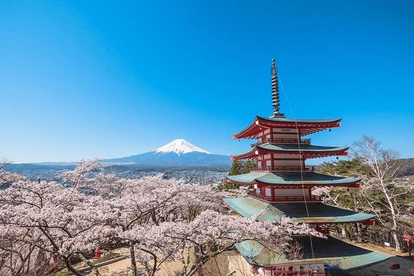 河口湖赏樱花、赏富士山 | 介绍樱花节和景点！