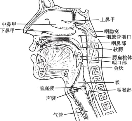探寻高效的耳压平衡技术