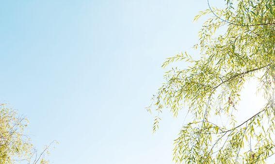 侗族花炮节：三江侗族的"东方橄榄球"