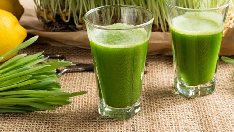 小麦草汁的功效与作用、禁忌和食用方法