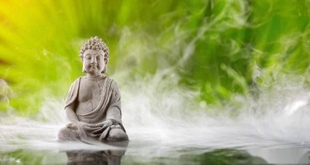 慈悲心，是一切智慧的开始