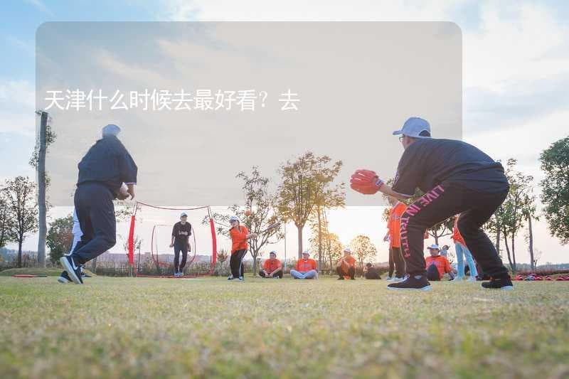天津什么时候去最好看？去天津的最佳时间