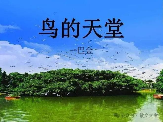 巴金《鸟的天堂》原文及全面赏析：探寻文字背后的自然与生命之美