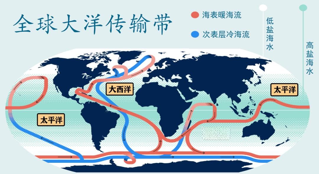 南极“藏着”一台地球“碳泵”？它的减速会加剧全球变暖吗？