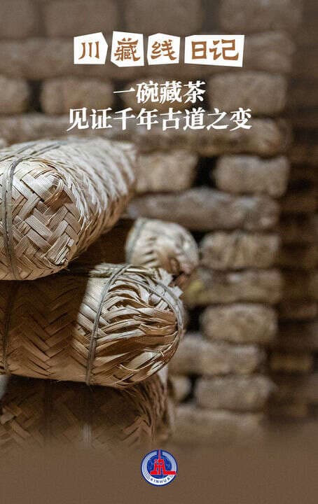 一碗藏茶见证古道之变