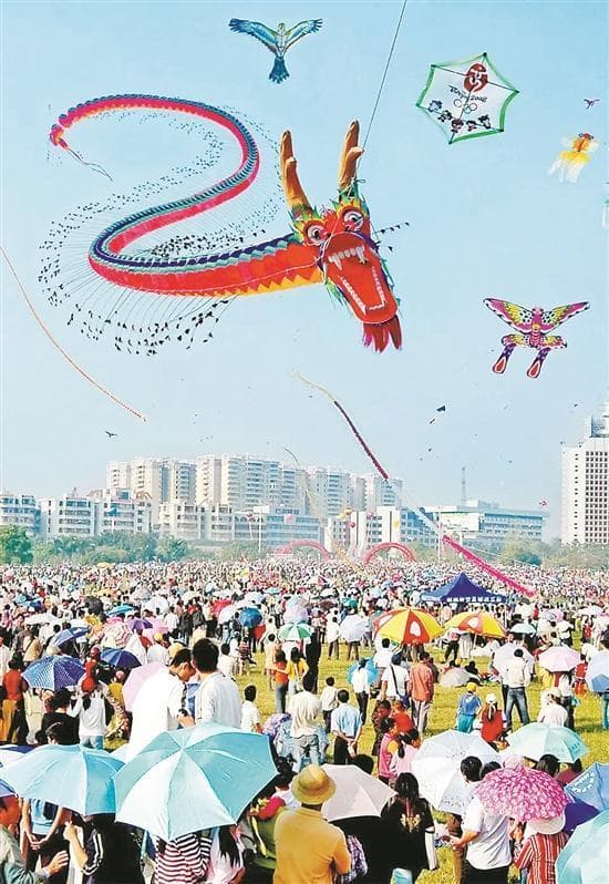 “筝”非遗魅力 品阳江文化