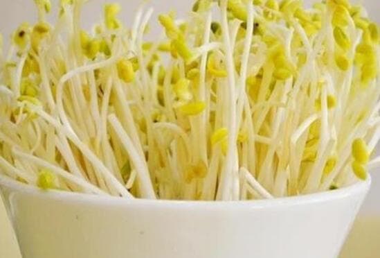 家庭自制芽菜：黄豆芽培育完全指南