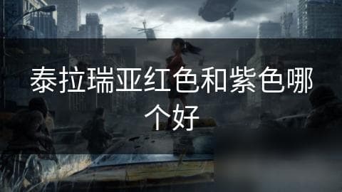 泰拉瑞亚红色和紫色饰品对比分析