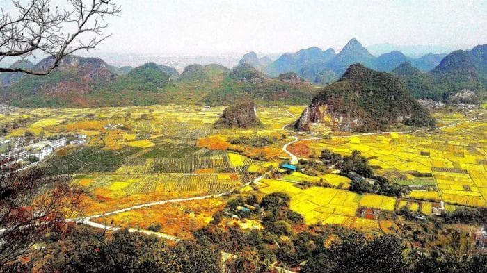 桂林秋色：古镇风韵与桂花飘香