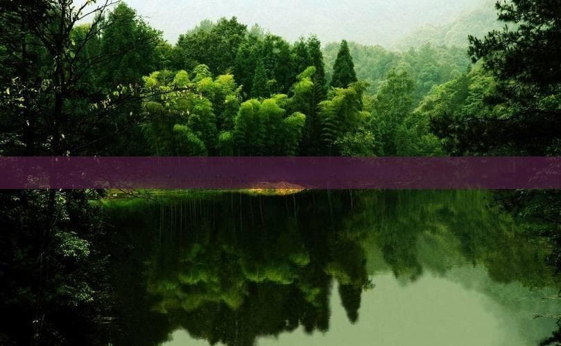 全面指南：蜀山风景区深度游攻略与实用信息汇总