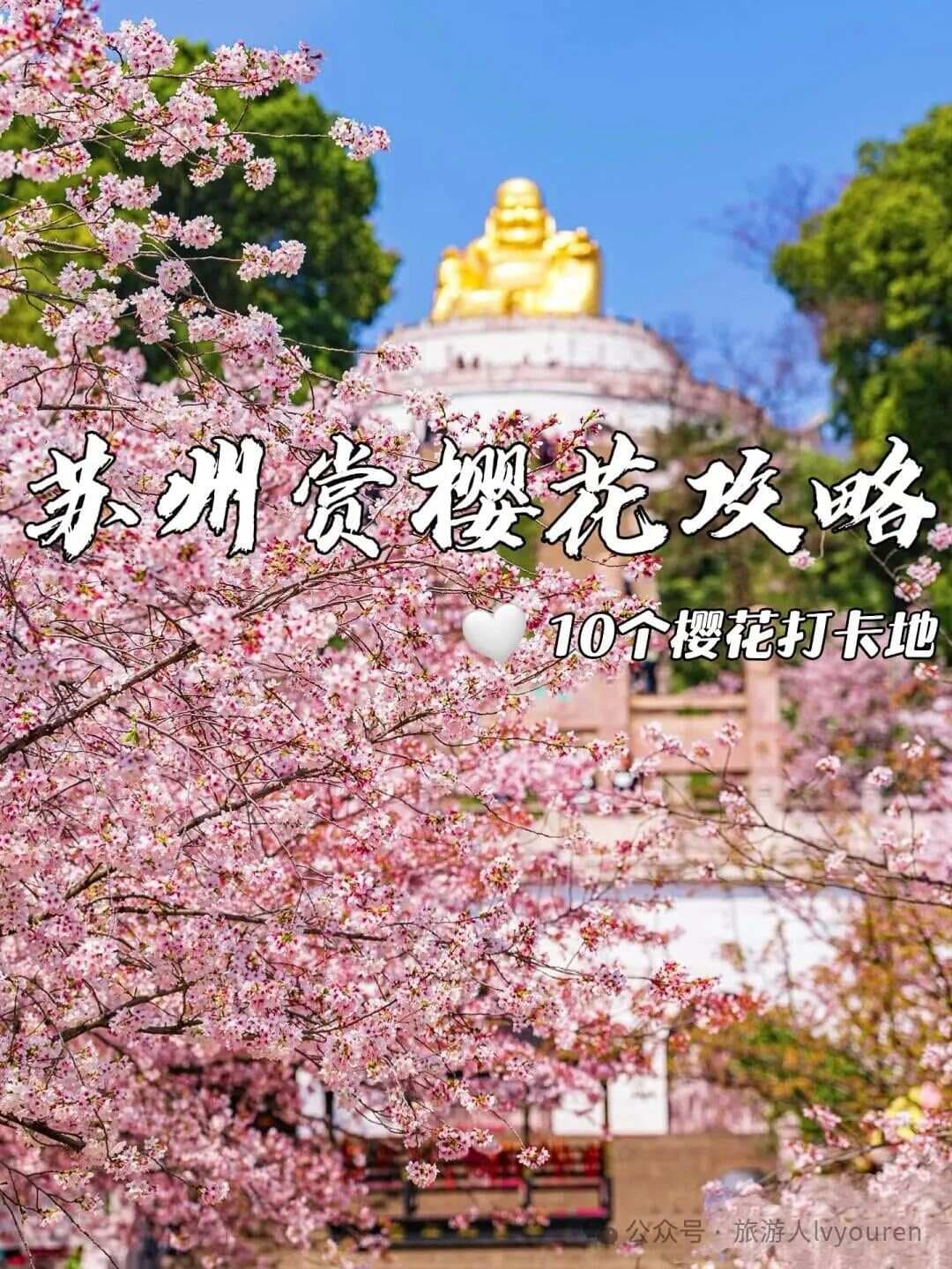 苏州十大樱花打卡地全攻略：从上方山到金鸡湖，3月赏樱指南