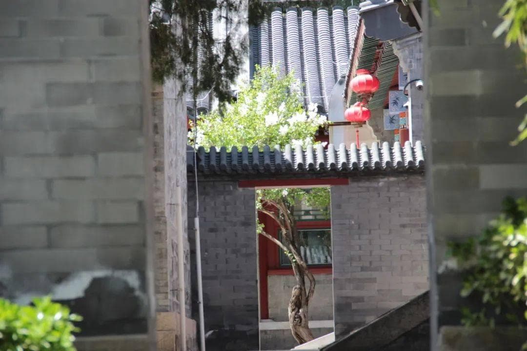 传统文化润童心 培根铸魂育新人——学院路学区传统文化教育的探索与实践