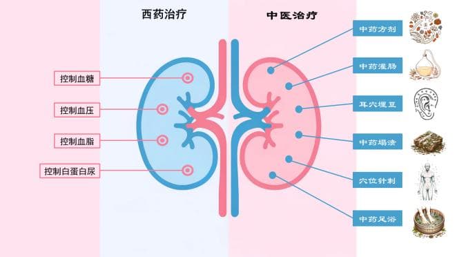 世界肾脏日 | 糖尿病肾病的早期筛查及中西医结合治疗