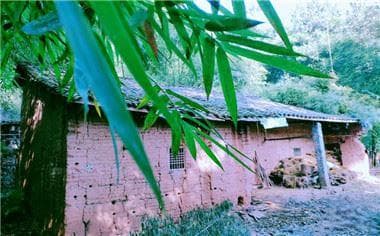 如何合法取得农村宅基地使用权？七步申请流程全解析