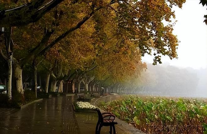十首经典的秋雨诗词，唯有别时今不忘，暮烟秋雨过枫桥