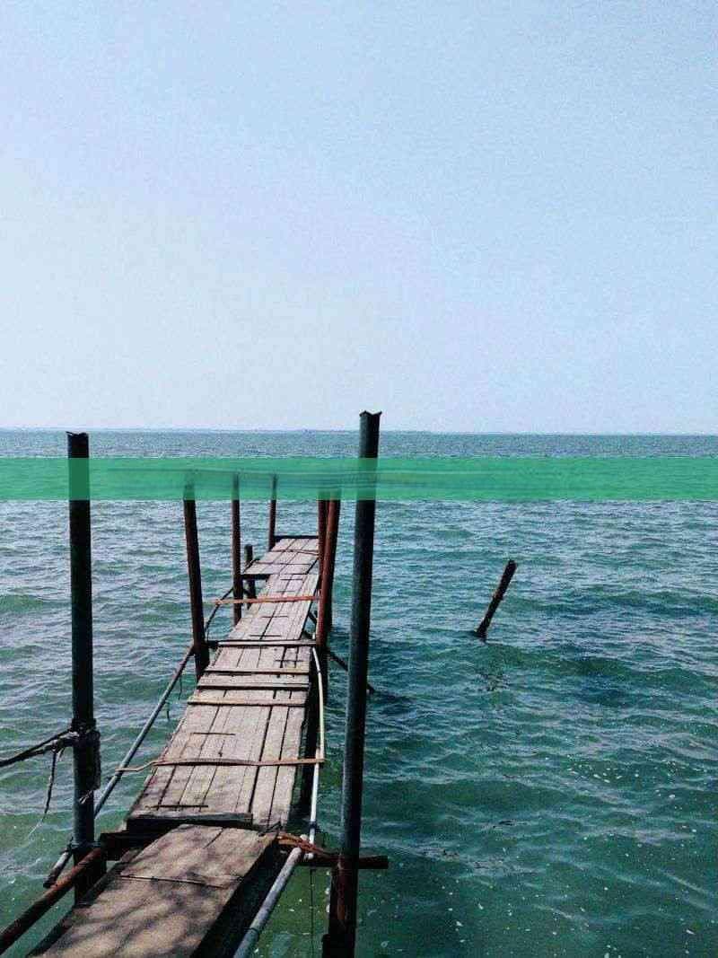 河源出发至新疆禾木全方位旅行攻略：交通路线、行程规划与必备指南