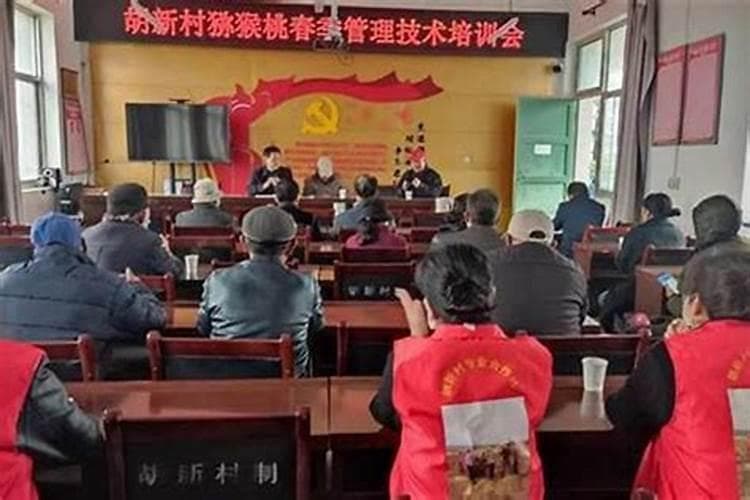 绿意盎然：猕猴桃与它的气候伴侣