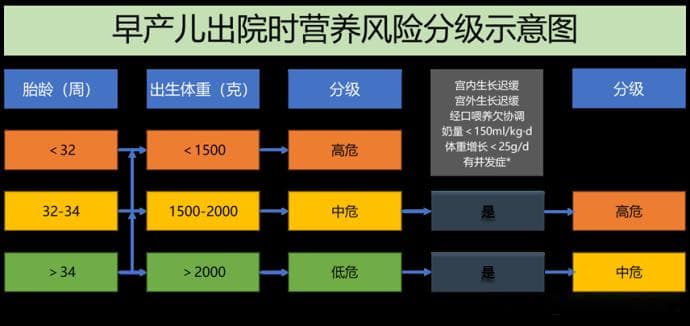 早产儿出院后怎么喂？这里有一个方案可以参考