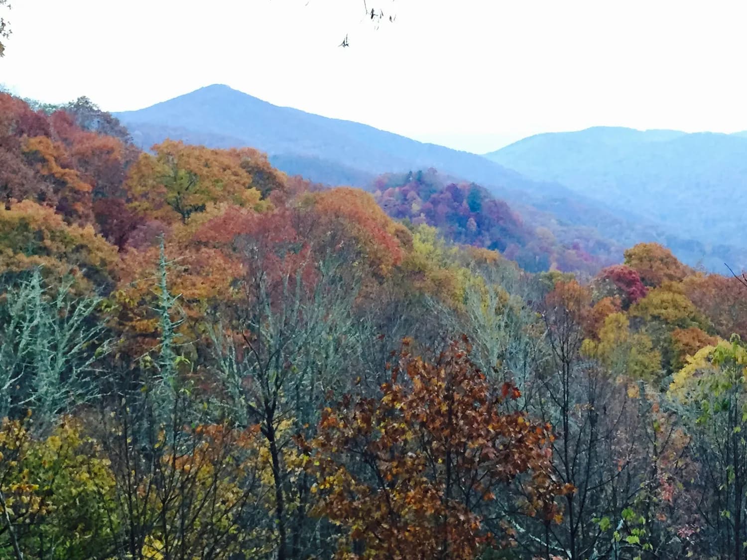 天目山秋游攻略：登顶仙人顶，尽享层林尽染之美