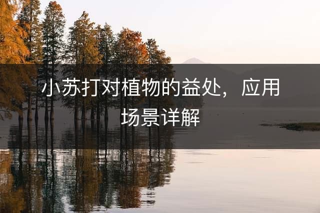小苏打对植物的益处，应用场景详解