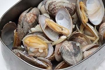 文蛤的清洗方法：温水加盐油，两小时轻松吐沙