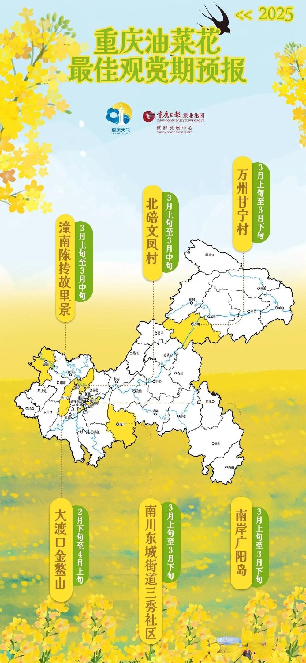重庆2025年油菜花最佳观赏期预报出炉