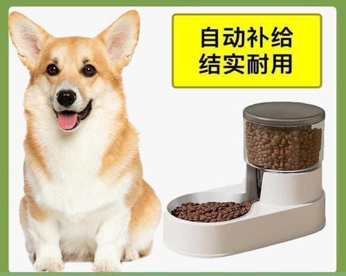狗狗每日狗粮需求量分析：从品种到季节的全方位指南