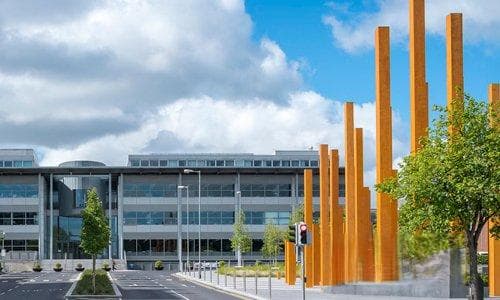 高校网站建设如何优化信息结构，提升用户体验？