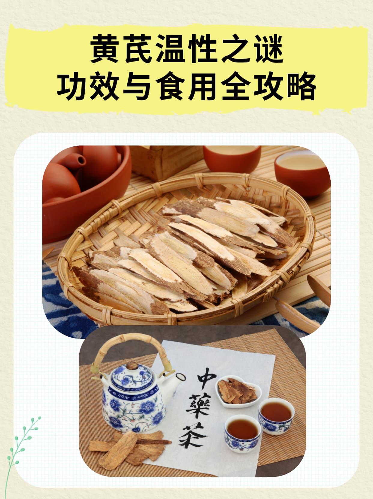 黄芪温性之谜：功效与食用全攻略