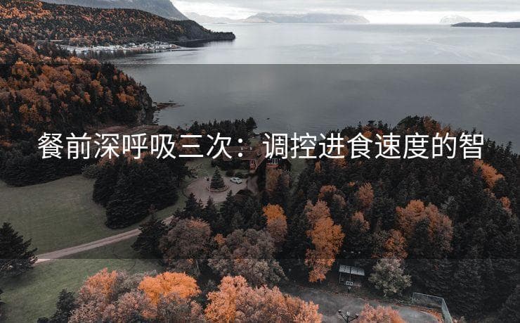 餐前深呼吸三次：调控进食速度的智慧