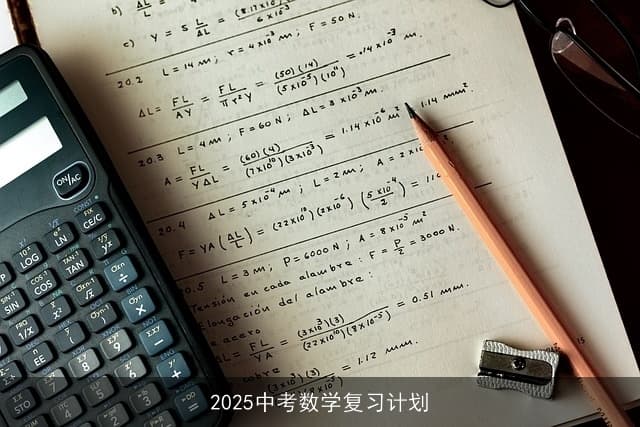2025中考数学高效复习指南：全面规划与策略解析