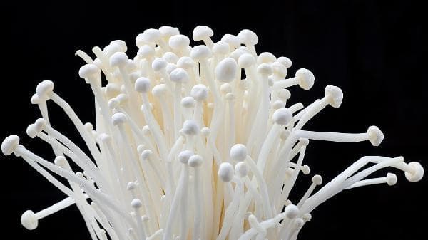 金针菇的营养价值及功效与作用