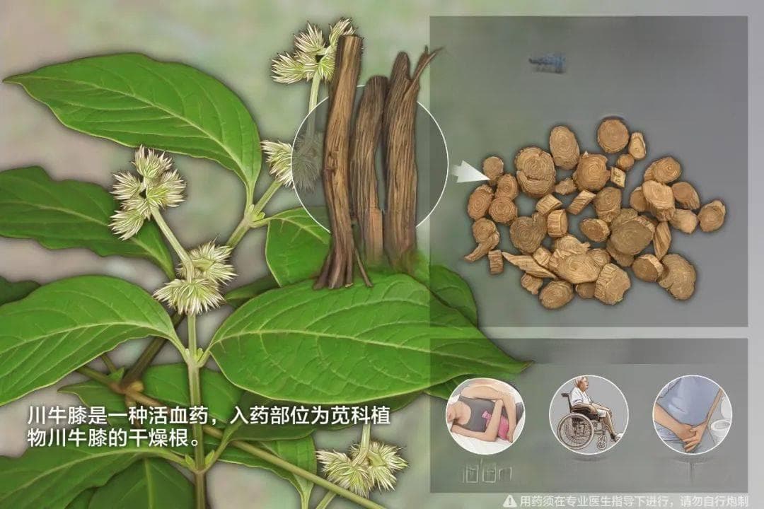 抑尿酸生成，促排泄喝这汤【附详细克数】，痛风专家张卓教你！