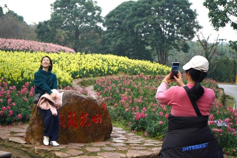 南宁以花为媒打造“赏花经济”
