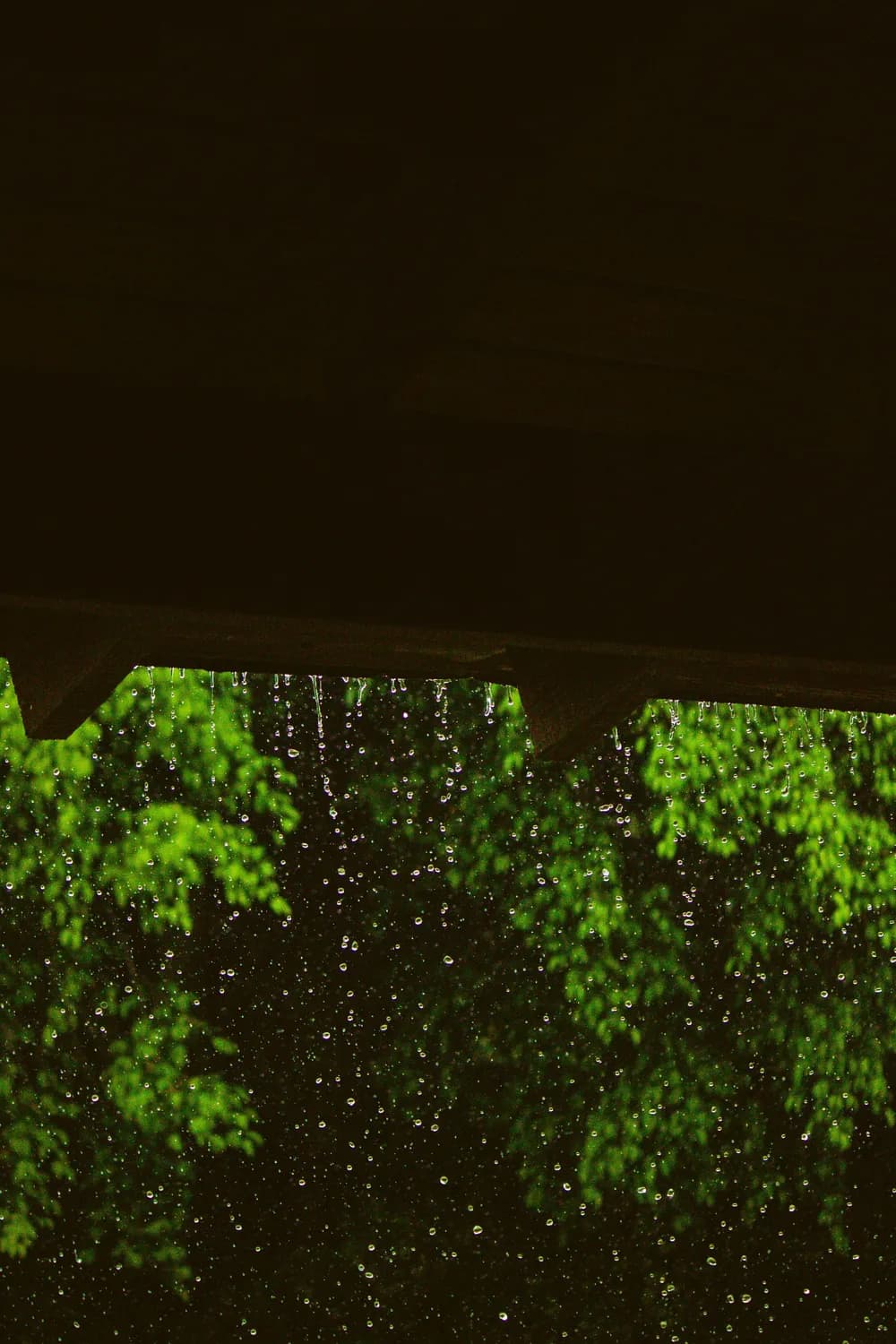 杜甫笔下的夜雨：一场春雨的细腻与深情